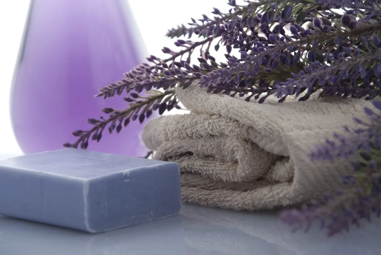 Bagno sempre profumato anche senza diffusori: il metodo naturale suggerito dagli hotel Bagno sempre profumato anche senza diffusori: il metodo naturale suggerito dagli hotel