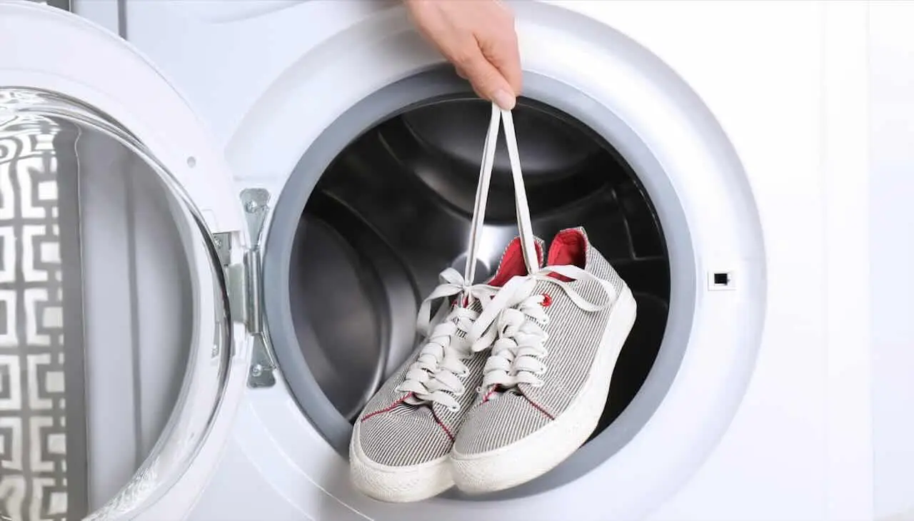 Come prevenire la muffa nelle scarpiere in estate: il segreto dell’igienista ambientale per giugno Come prevenire la muffa nelle scarpiere in estate: il segreto dell’igienista ambientale per giugno