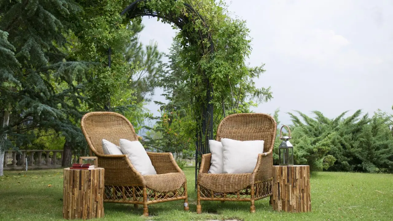 5 strategie per proteggere i mobili da giardino dal sole: il consiglio dei vivaisti per l’estate 2025 5 strategie per proteggere i mobili da giardino dal sole: il consiglio dei vivaisti per l’estate 2025