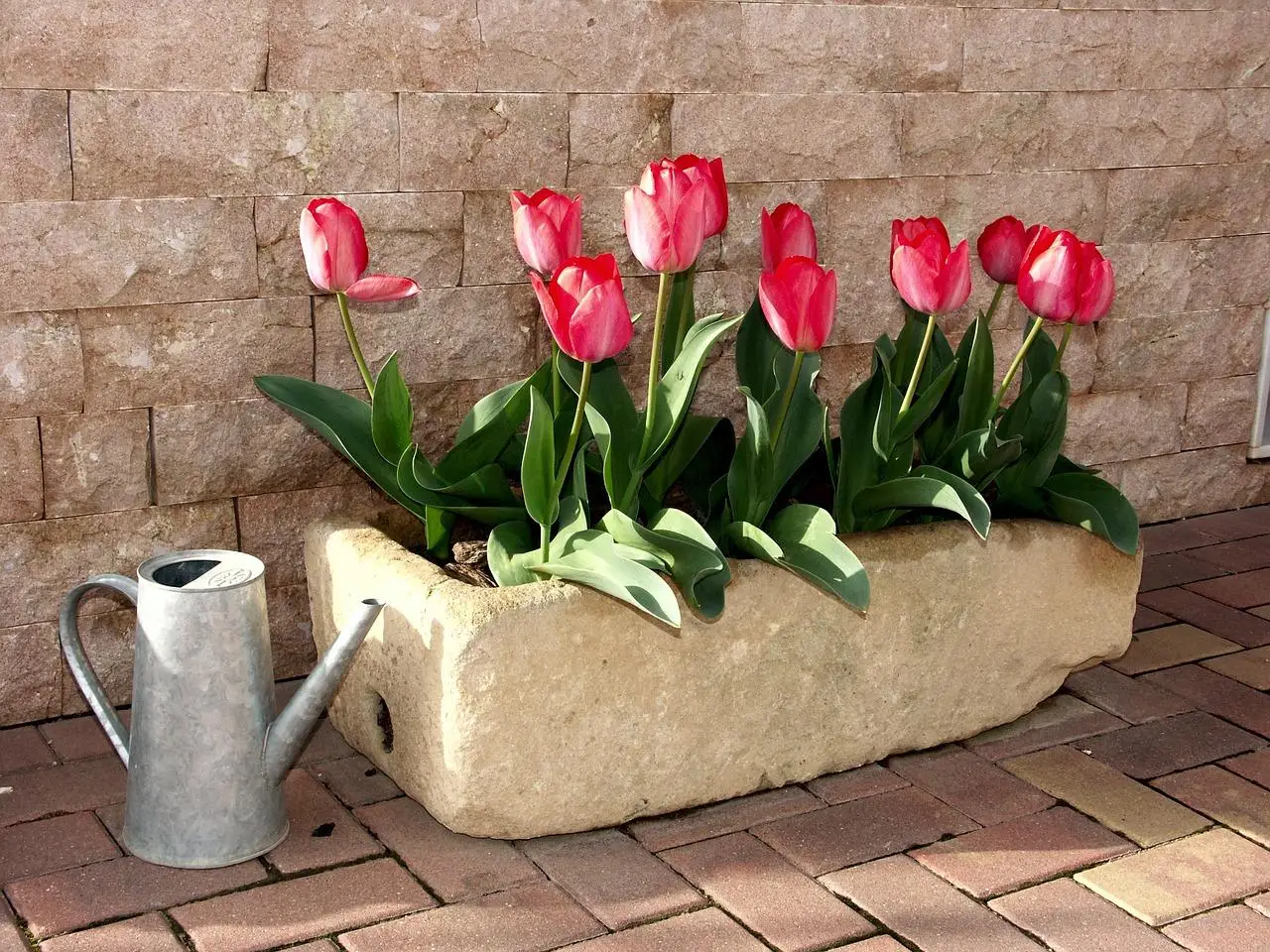 Come mantenere freschi i fiori recisi più a lungo in estate: il trucco del fiorista per giugno Come mantenere freschi i fiori recisi più a lungo in estate: il trucco del fiorista per giugno