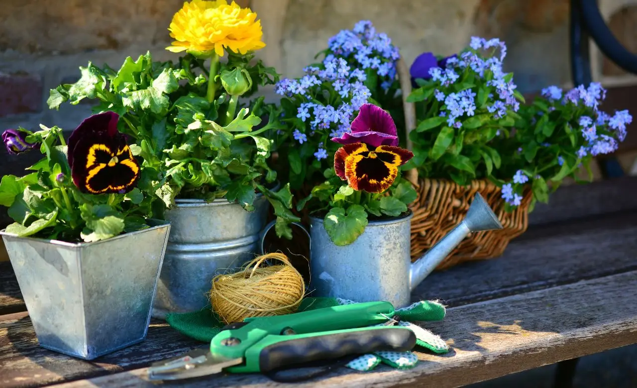 Come mantenere freschi i fiori recisi più a lungo in estate: il trucco del fiorista per giugno Come mantenere freschi i fiori recisi più a lungo in estate: il trucco del fiorista per giugno