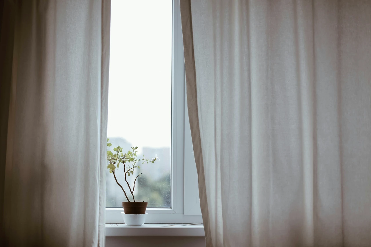 Come eliminare la condensa dai muri in camera da letto: la soluzione naturale raccomandata dagli esperti per giugno Come eliminare la condensa dai muri in camera da letto: la soluzione naturale raccomandata dagli esperti per giugno