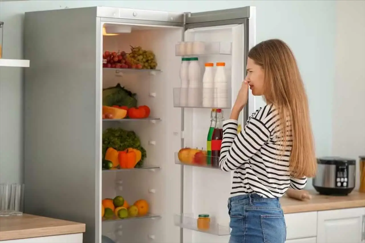 Come evitare i cattivi odori nel frigorifero in estate: la guida dell’igienista alimentare per giugno Come evitare i cattivi odori nel frigorifero in estate: la guida dell’igienista alimentare per giugno