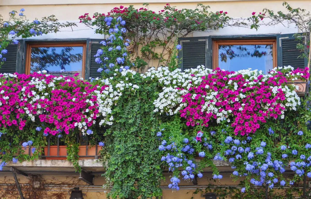 Proteggi il balcone dal caldo estivo: i suggerimenti dell’architetto paesaggista per giugno Proteggi il balcone dal caldo estivo: i suggerimenti dell’architetto paesaggista per giugno